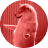 qacek